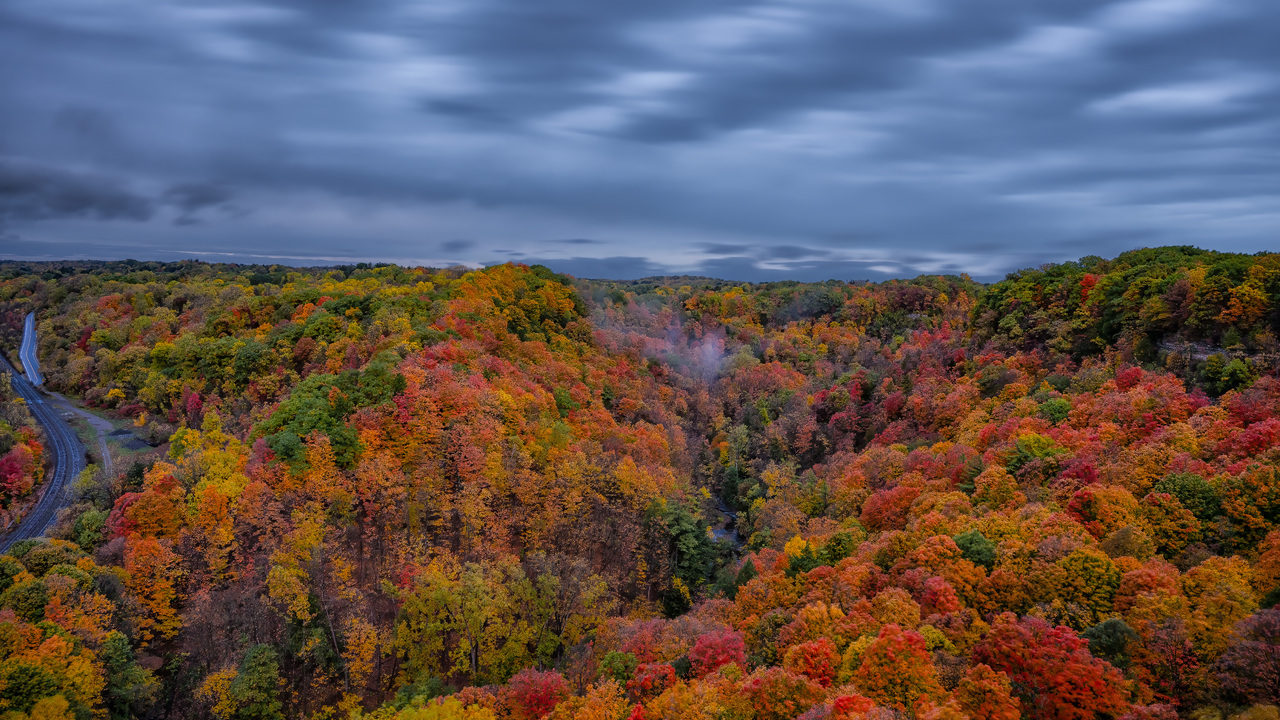 Autumn colors of Dundas Valley after heavy rain