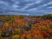 Autumn colors of Dundas Valley after heavy rain