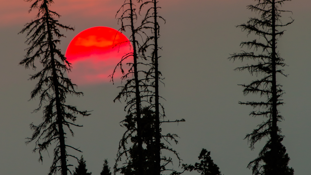  smokey sky sunset