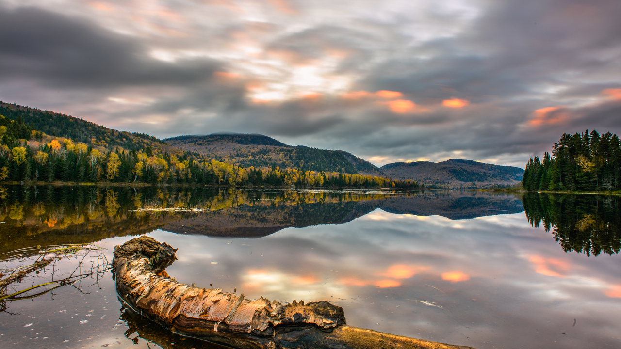 Autumn scenes 