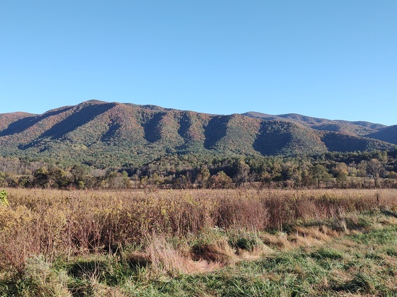 Great Smoky Mountains National Park 