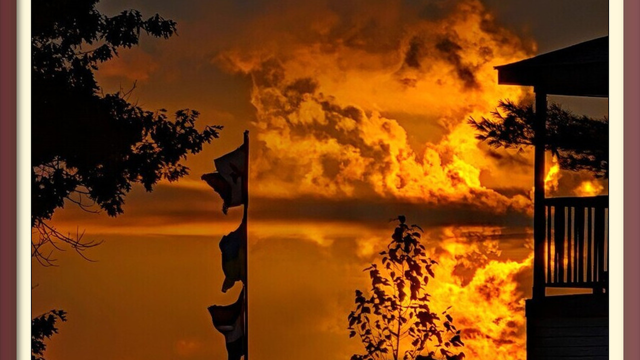 Reflections, 2025