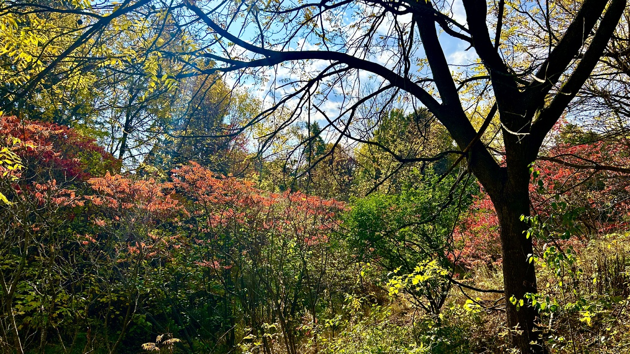 Autumn at its peak 