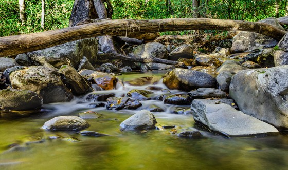 Great Smoky Mountains National Park