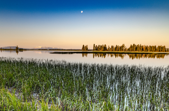 Yellowstone National Park