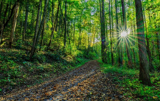 Great Smoky Mountains National Park