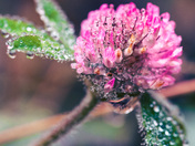 Mother Nature at work