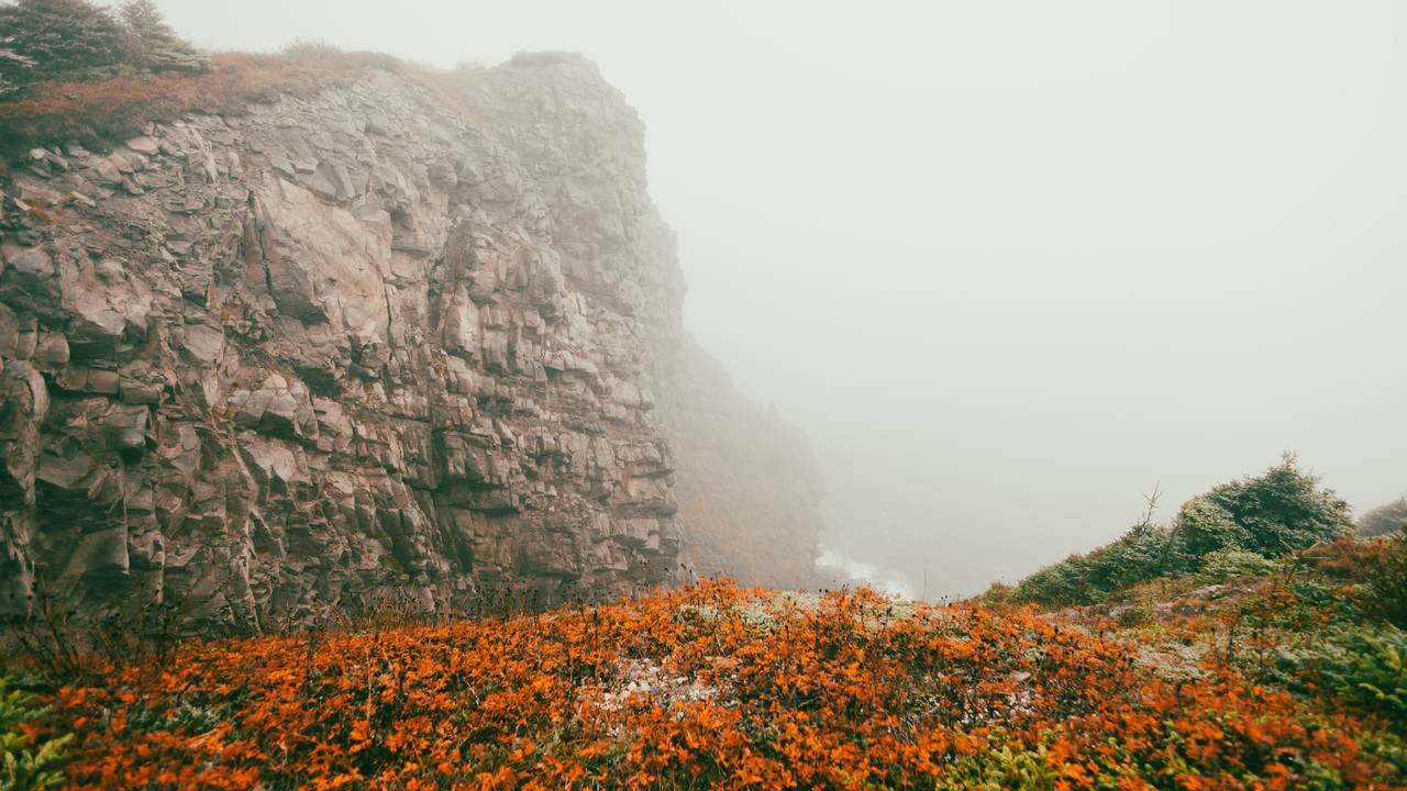 Looking over the Cliff