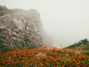 Looking over the Cliff