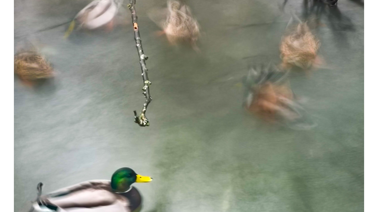 All motion is relative