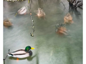 All motion is relative