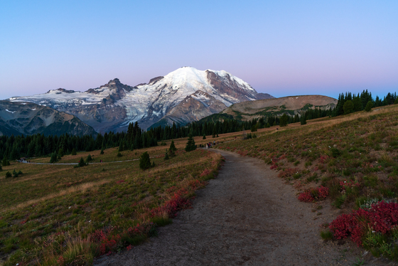 Mount Rainier National Park