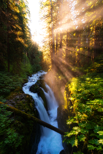 Olympic National Park