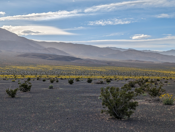 Death Valley National Park