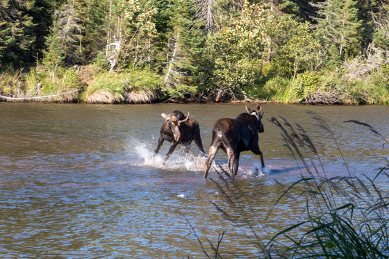 Isle Royale National Park