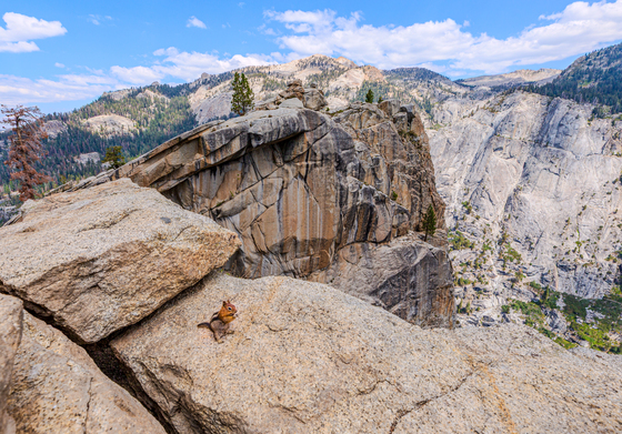 Sequoia National Park