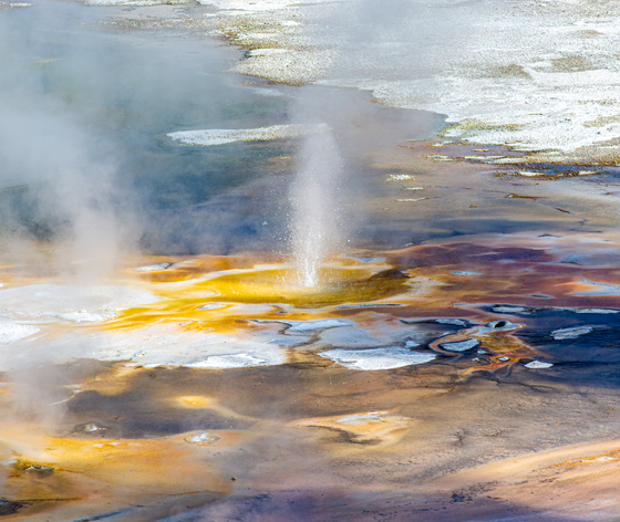 Yellowstone National Park