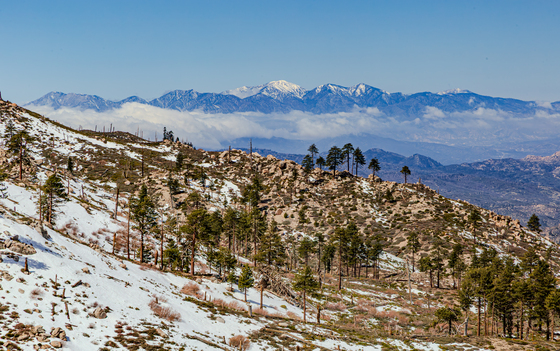 San Bernardino National Forest