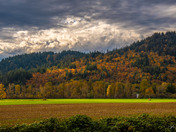 Farm field with fall color and gathering clouds