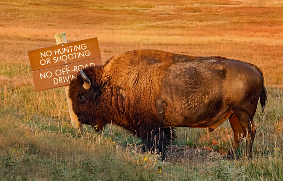 Badlands National Park