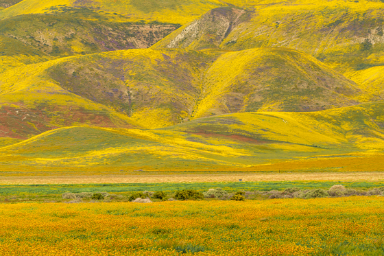 Carrizo Plain National Monument