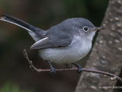 Wrong Turn at Albuquerque....