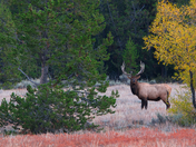 Grand Teton National Park