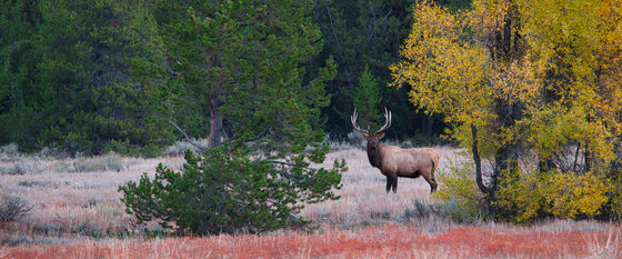 Grand Teton National Park