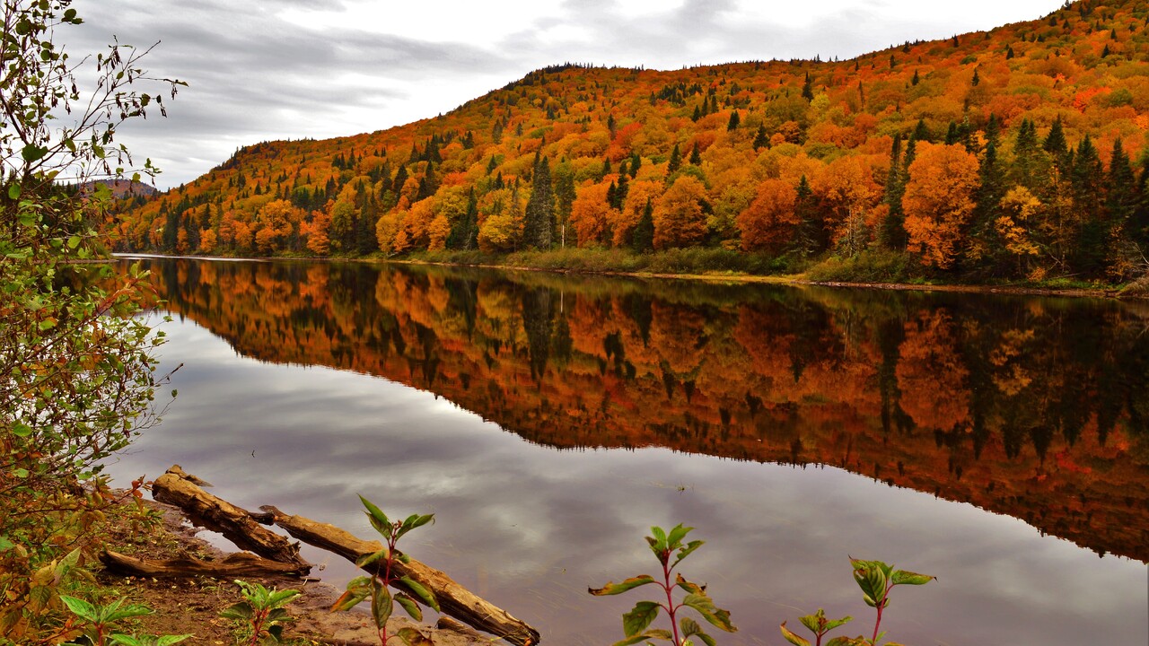 Jacques-Cartier National Park