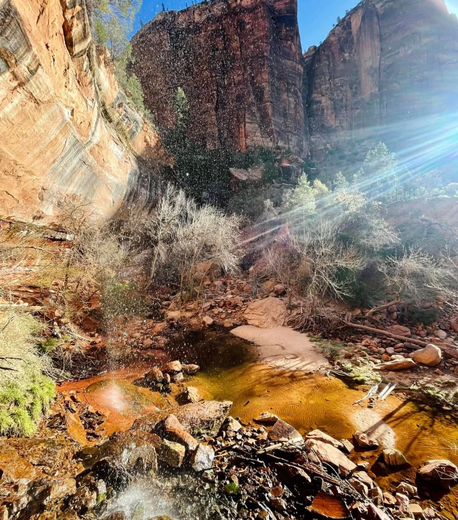 Zion National Park