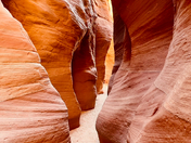 Paria Canyon-Vermilion Cliffs Wilderness