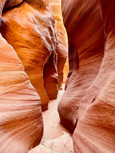 Paria Canyon-Vermilion Cliffs Wilderness