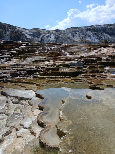 Yellowstone National Park