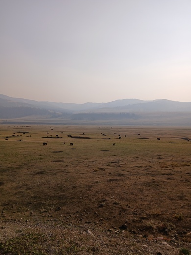 Yellowstone National Park