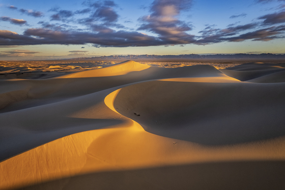 Imperial Sand Dunes