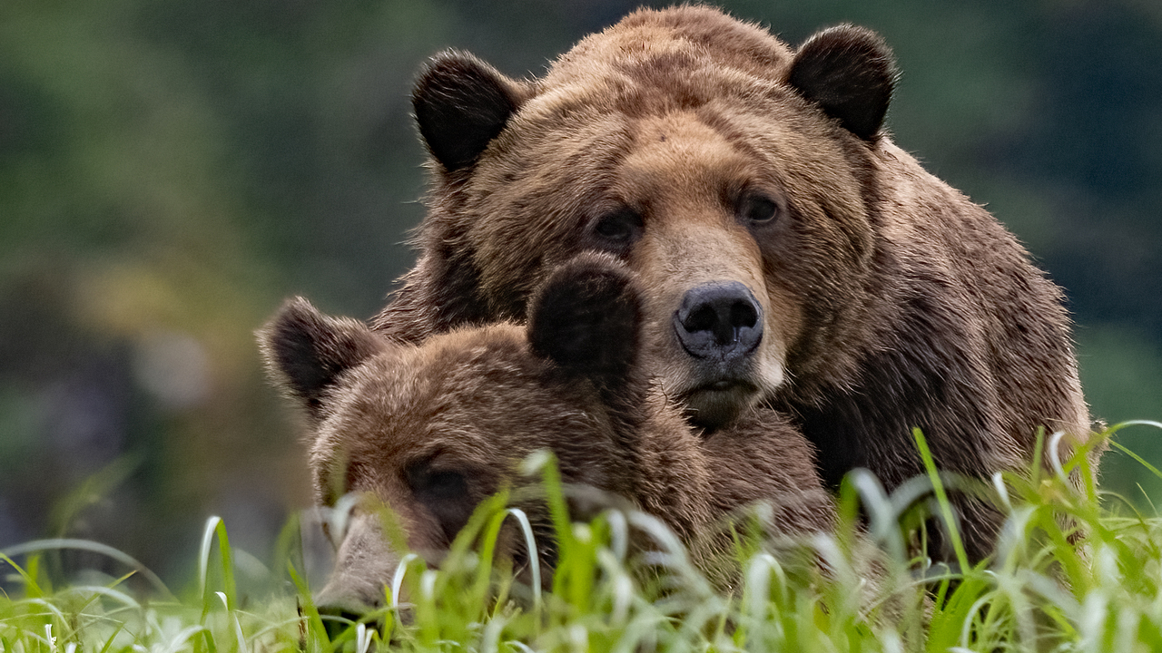 Natures Intimate Moment