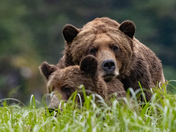 Natures Intimate Moment