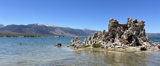 Inyo National Forest