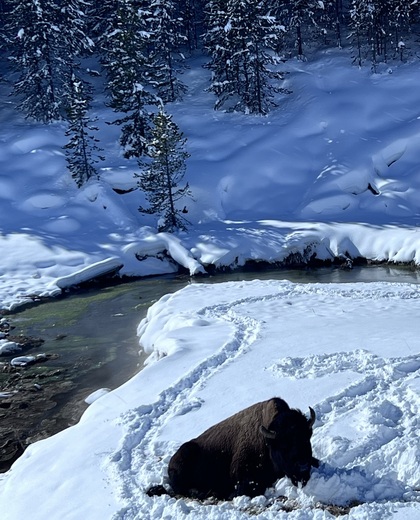 Yellowstone National Park