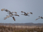 Padre Island National Seashore