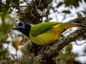 Palo Alto Battlefield National Historic Park