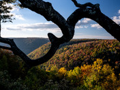 Monongahela National Forest
