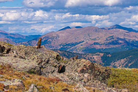 Mount Massive Wilderness