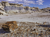 Petrified Forest National Park