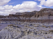 Petrified Forest National Park