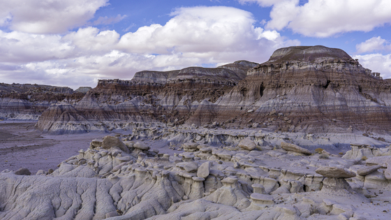 Petrified Forest National Park