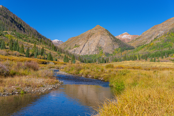 Uncompahgre National Forest