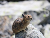 North Cascades National Park