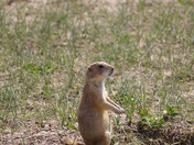 Badlands National Park
