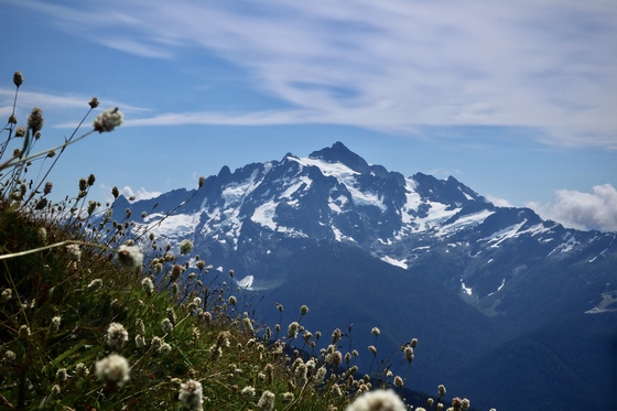 Mount Baker-Snoqualmie National Forest